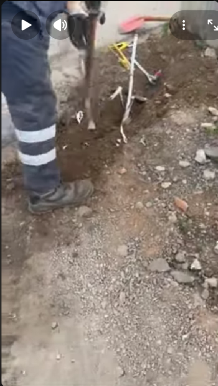 Ειδική αστυνομική επιχείρηση της Διεύθυνσης Αστυνομίας Δυτικής Αττικής στην περιοχή της Μάνδρας (βίντεο)