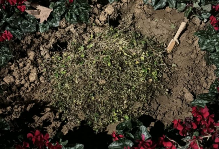 Θεσσαλονίκη: Ξήλωσαν και εξαφάνισαν τη μαρμάρινη πλάκα για τις κακοποιημένες γυναίκες