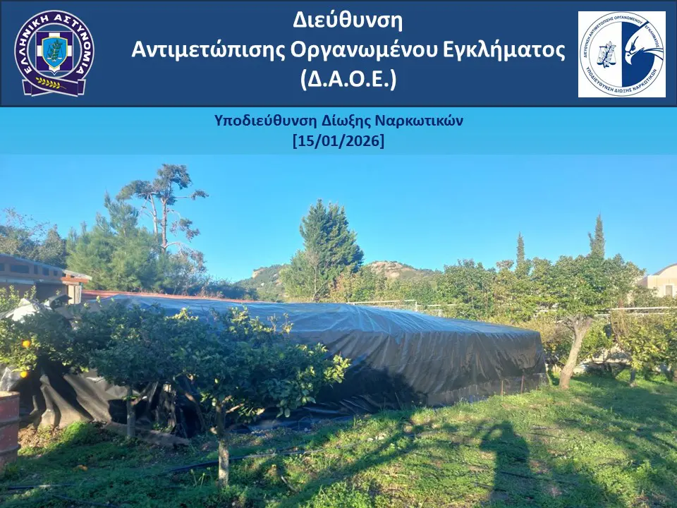 Ρόδος: Εγκληματική οργάνωση  καλλιεργούσε δενδρύλλια κάνναβης με τη μέθοδο της υδροπονίας και διακινούσε ακατέργαστη κάνναβη 