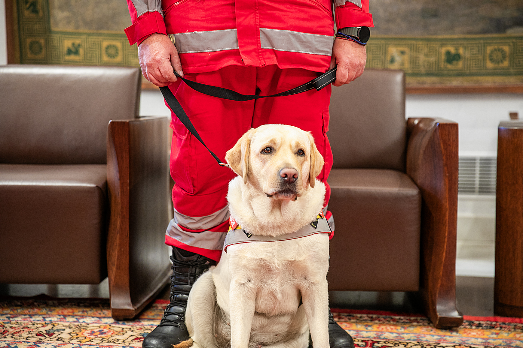 Ο Ε.Ε.Σ. ενισχύθηκε με δύο σκυλιά – διασώστες από την Βουλή των Ελλήνων