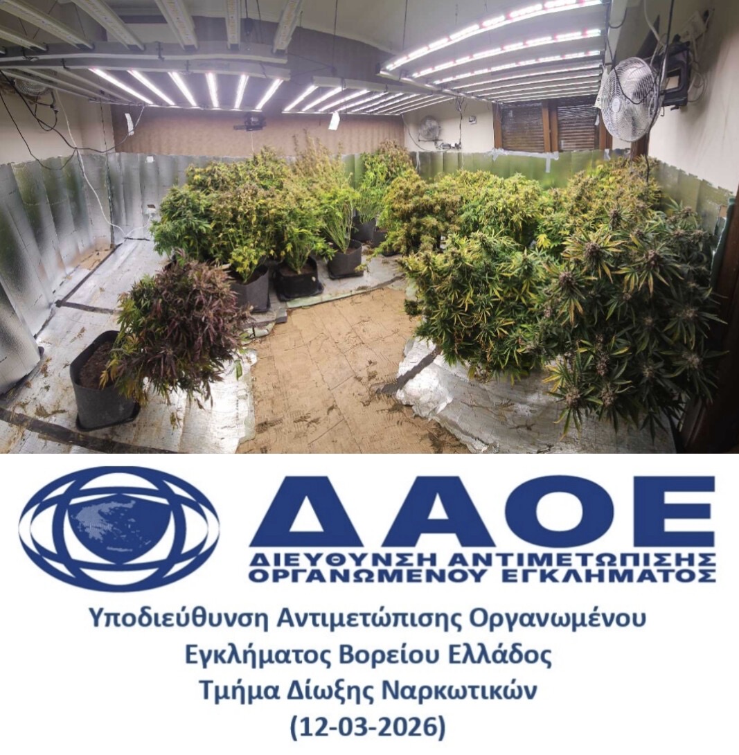 Υδροπονικό εργαστήριο κάνναβης σε μισθωμένη μονοκατοικία, δύο συλλήψεις