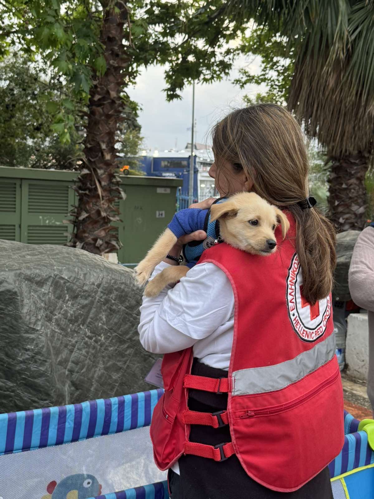 Ο Ελληνικός Ερυθρός Σταυρός υλοποίησε νυκτερινή δράση υποστήριξης αστέγων στον Πειραιά