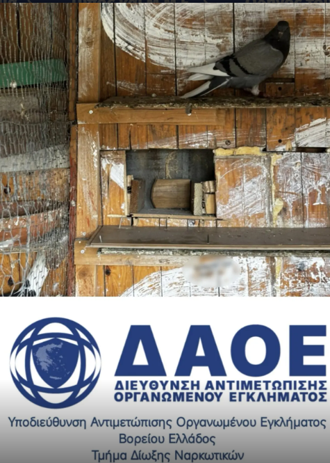 Έγκλημα με θύμα 54χρονο στα Κύμινα – Δικογραφία για ναρκωτικά σε έναν από τους δύο κατηγορούμενους