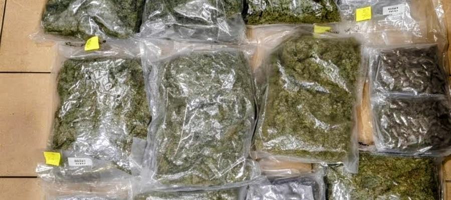 Σύλληψη άνδρα και κατάσχεση άνω των 13 κιλών ακατέργαστης κάνναβης στη Σκιάθο