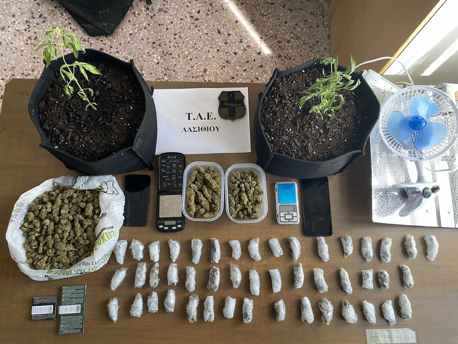 Χειροπέδες σε δύο νεαρούς στην Ιεράπετρα για υδροπονική κάνναβη και εμπορία
