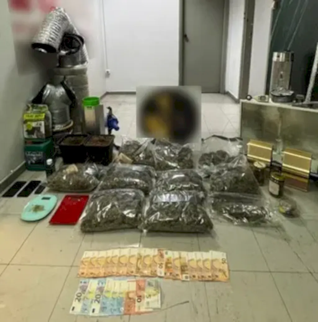 Μπλόκο της ΕΛ.ΑΣ. σε «κρυφό» εργαστήριο υδροπονικής κάνναβης στην Κινέτα – Δύο συλλήψεις και κατάσχεση 5 κιλών χασίς (βίντεο)