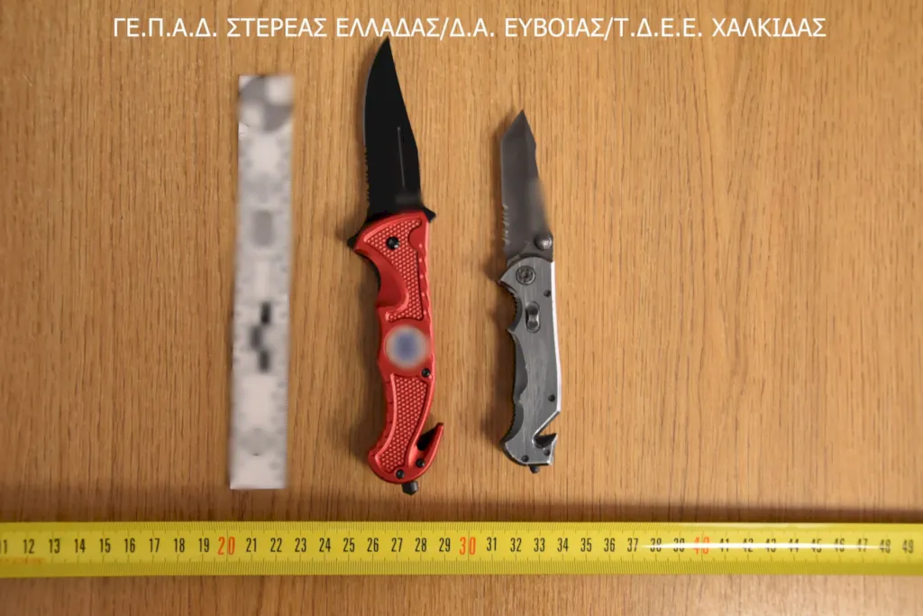 Εύβοια: Καρτέρι και άγριος ξυλοδαρμός για ένα οπαδικό πανό – Χειροπέδες σε τέσσερις χούλιγκαν