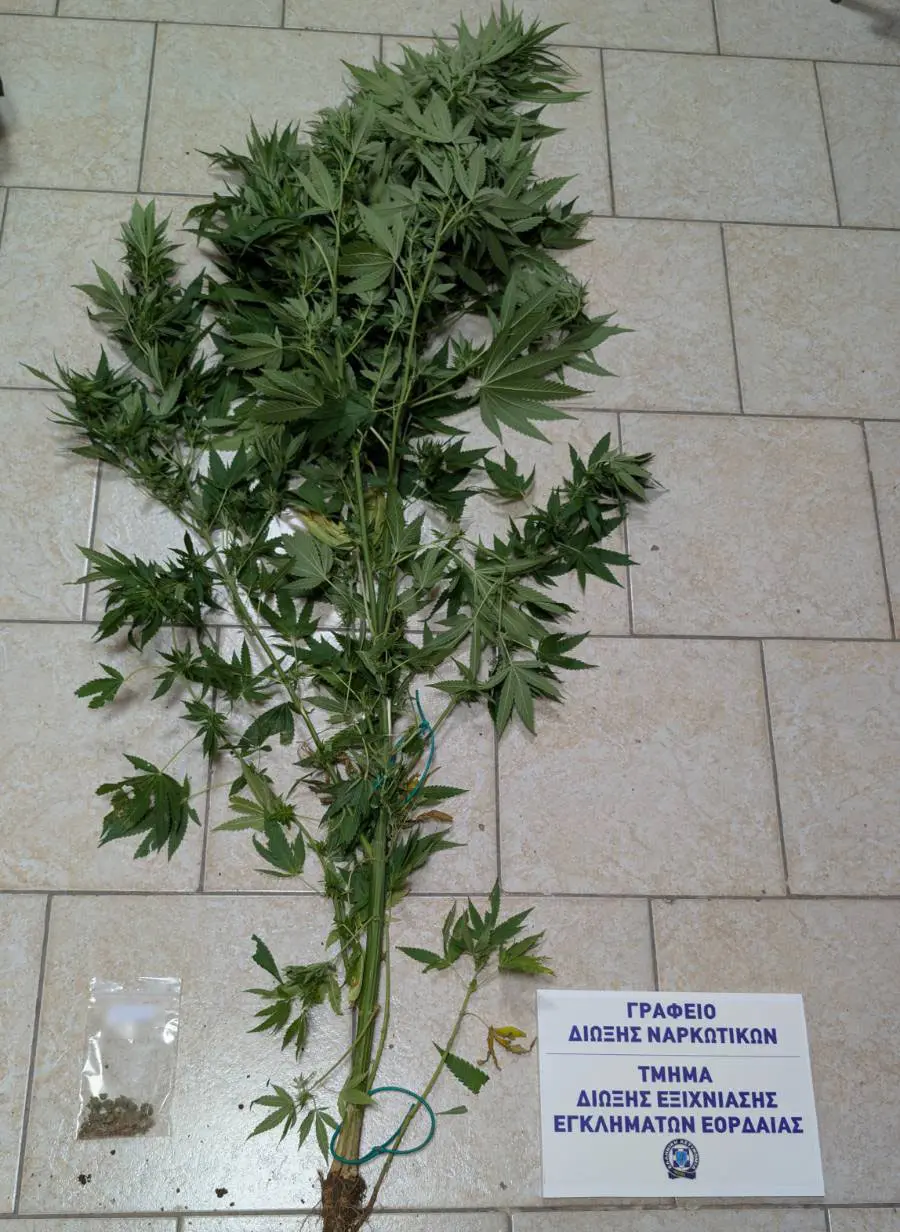 Δυτική Μακεδονία: Τέσσερις συλλήψεις για ναρκωτικά σε ισάριθμες επιχειρήσεις της ΕΛ.ΑΣ.