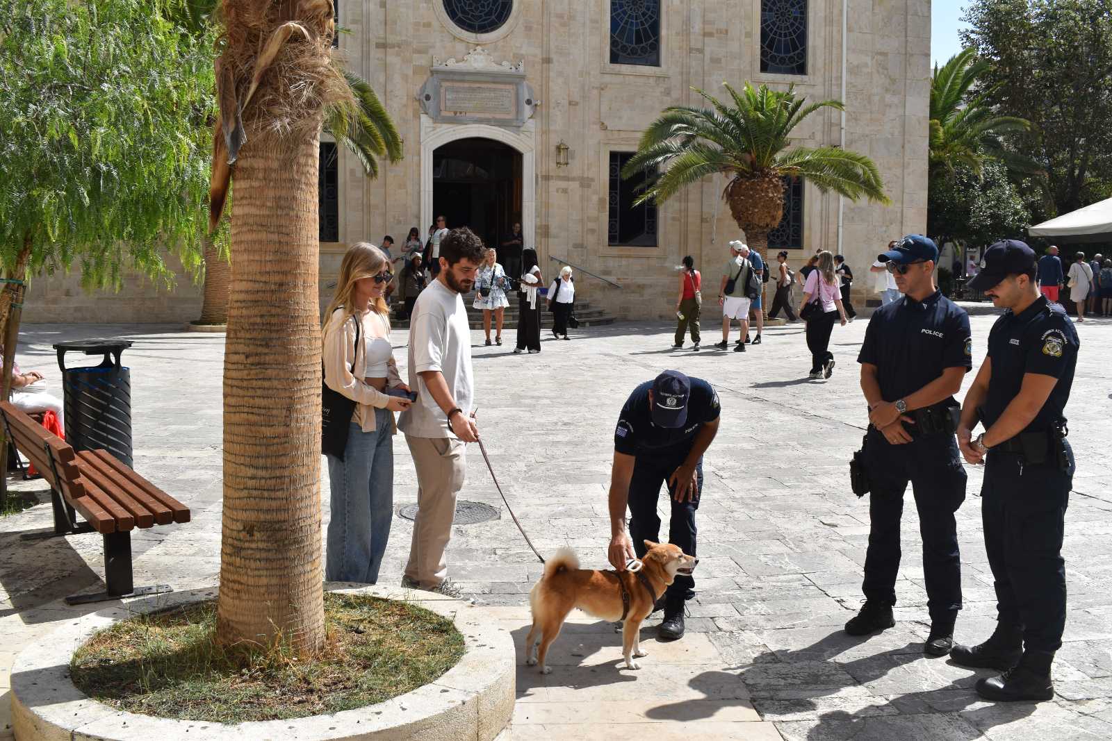 Εντατικοί έλεγχοι  για την προστασία ζώων συντροφιάς στην Κρήτη